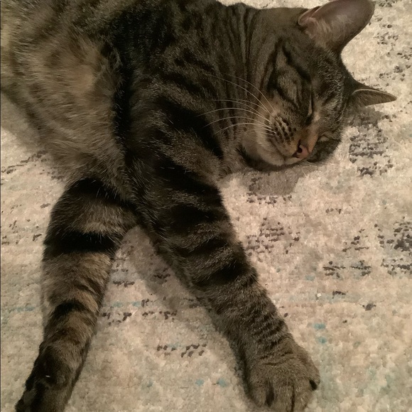 Meet your Posher, Christina - Picture 8 of 16